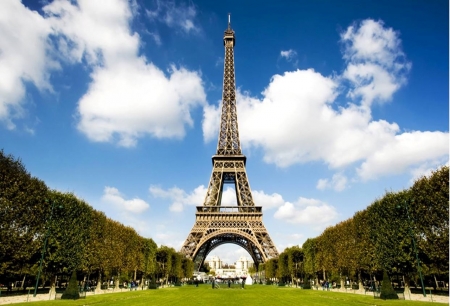 Eiffel Tower - France, Paris, Tower, Eiffel Tower, tree