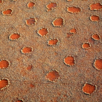 Namibias Fairy Circles, Namibia