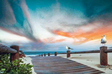 Beach - egbolt, setany, siralyok, tengerpart, ut