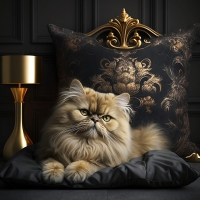 Persian cat