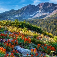 Wasatch Mountains of Utah