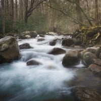 Great Smoky Mountains National Park