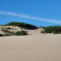 Sand Dune, Mandalay Beach, California