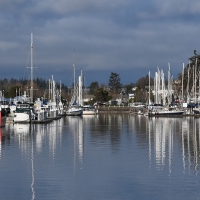 Yachts in Marina