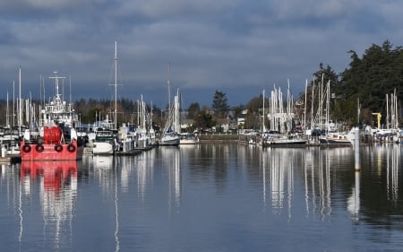 Yachts in Marina - yachts, marina, reflection, water