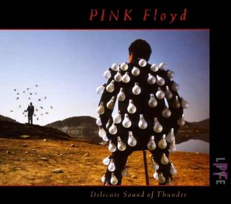 Pink Floyd - Delicate Sound Of Thunder (1988) - Pink Floyd Delicate Sound Of Thunder, Pink Floyd Delicate Sound Of Thunder Album, British Bands, Pink Floyd