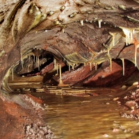 Wind Cave National Park