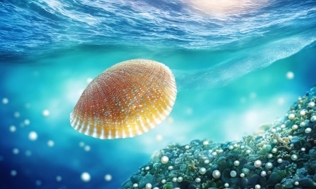 Sea shell - gyongy, kagylo, tenger, tengeri elet, termeszet, viz alatti