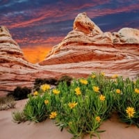 Sand hills -  Utah Arizona