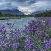 Kluane National Park - Canada