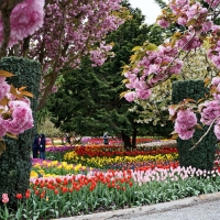 keukenhof Gardens, Netherlands