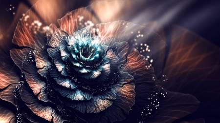 Flower - Nature, Flower, Glow, Art