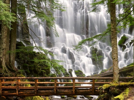 Waterfalls - Yellowstone National Park - erdo, fahid, fak, novenyek, szep vizfuggony, zoldello termeszet