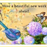 BEAUTIFUL NEW WEEK