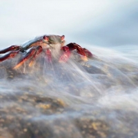 The ghost of the rocks by Javier Herranz Casellas