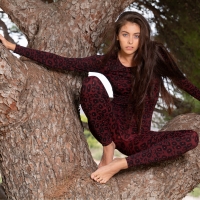 Alissa Foxy up a tree