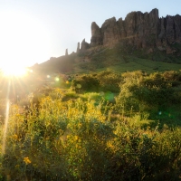 Lost Dutchman State Park, Arizona