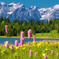 Pine Lake near Salt Lake City, Utah