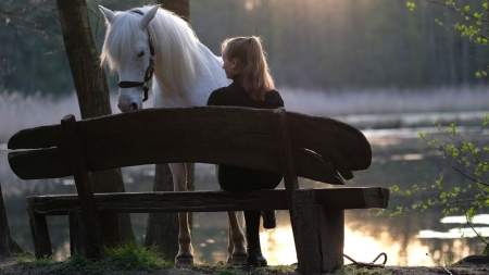 Lady and her horse - erdo, fak, folyo, padok, tajkep, termeszet