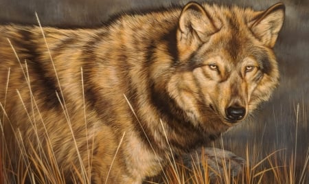 Wolf - lup, rebecca latham, pictura, animal, wolf, painting, art