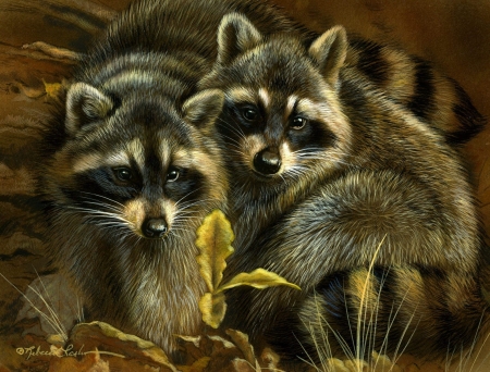 Raccoons - animal, painting, art, pictura, raton, rebecca latham, cute, raccoon