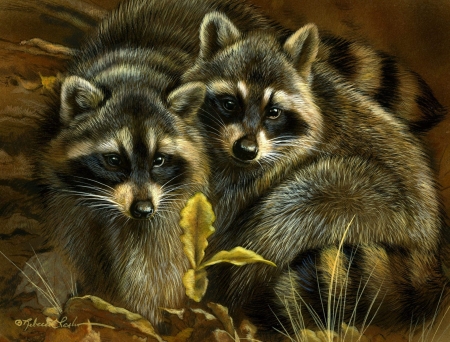 Raccoons - rebecca latham, pictura, animal, raton, painting, cute, raccoon, art