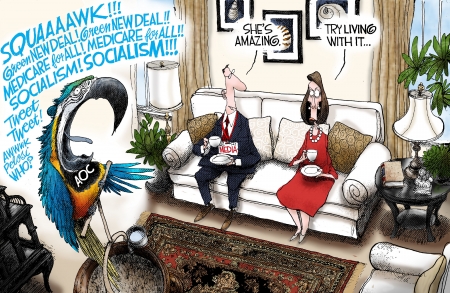 Squawking AOC - media, parrot, pelosi, aoc
