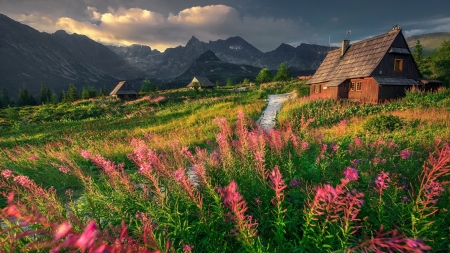 Tatras mountain - beautiful, clouds, hills, house, meadow, mountain, poland, sky, spring, summer, tatras, wildflowers