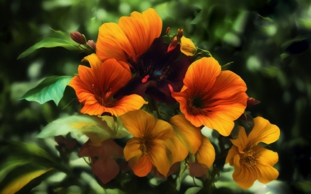 Blooming spring color - viragos, narancssarga, viragok, tavaszi, sarga, viragozni, szines