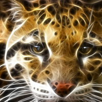 Fractal Tiger