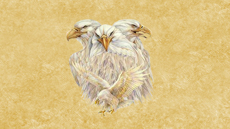 Three Eagle Heads - eagle, animals, eagle heads, gold, birds