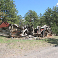 Lost Cabin in the Woods