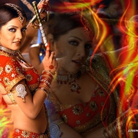 cute,bollywood actress,Celina Jaitley,1