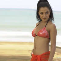 cute,bollywood actress,Celina Jaitley,3