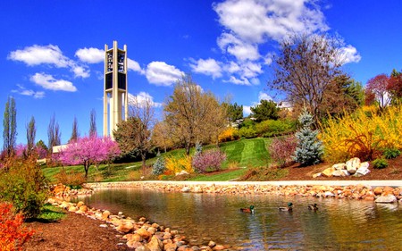 BOTANIC SPRING - flowers, structure, pond, spring, ducks