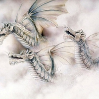 Fog dragons