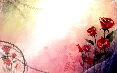 ROSES - background, roses