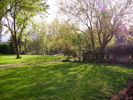 spring scenery  - trees and a fence, grass