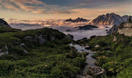 Mountain rivulets - streams of water, clouds, flowers, mountains