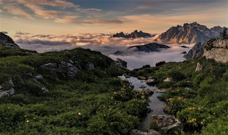 Mountain rivulets - flowers, clouds, mountains, streams of water