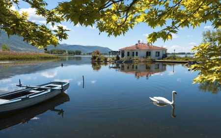 Lake in Greece - Greece, boat, swan, lake, maple