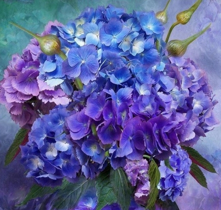 Blue Flowers - blue, Botanics, plants, flower, art