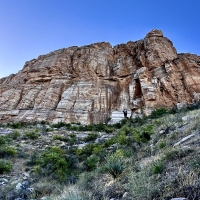 Sabino Canyon, Arizona