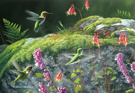 Dappled Hummingbirds - flowers, blossoms, birds, painting, plants