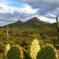 The 800 mile Arizona Trail this spring