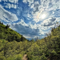 Northern Utah Spring hiking