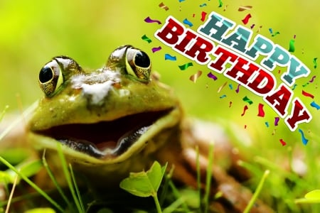 HAPPY BIRTHDAY FROG! - nature, greetings, frog, birthday