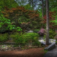 Quiet Beauty near Atlanta, Georgia