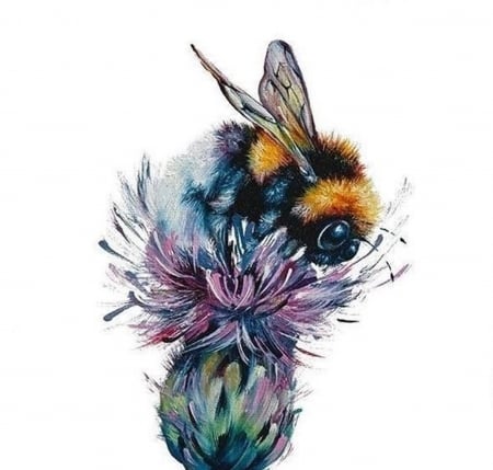 Bee - Animals, Insects, Bee, Zoology, Entomology