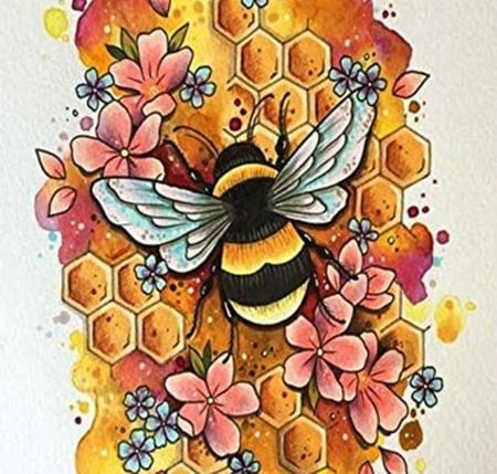 Bee - Animals, Insects, Bee, Zoology, Entomology